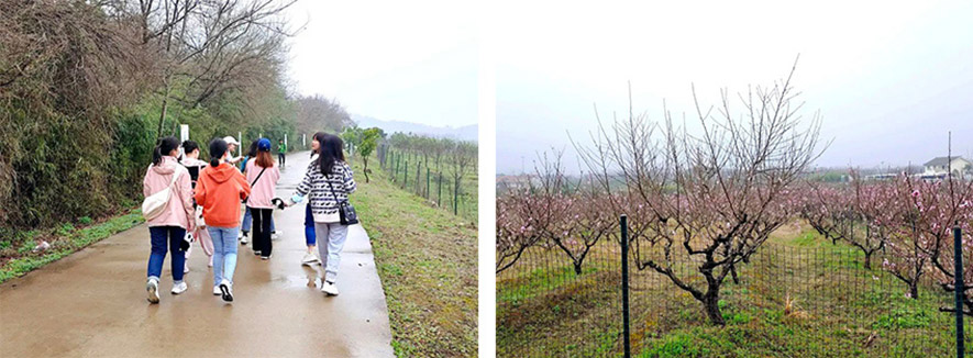 盼盼木業集團旗下品牌